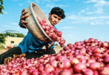 ভারতের পেঁয়াজ রপ্তানির শর্ত শিথিল করল